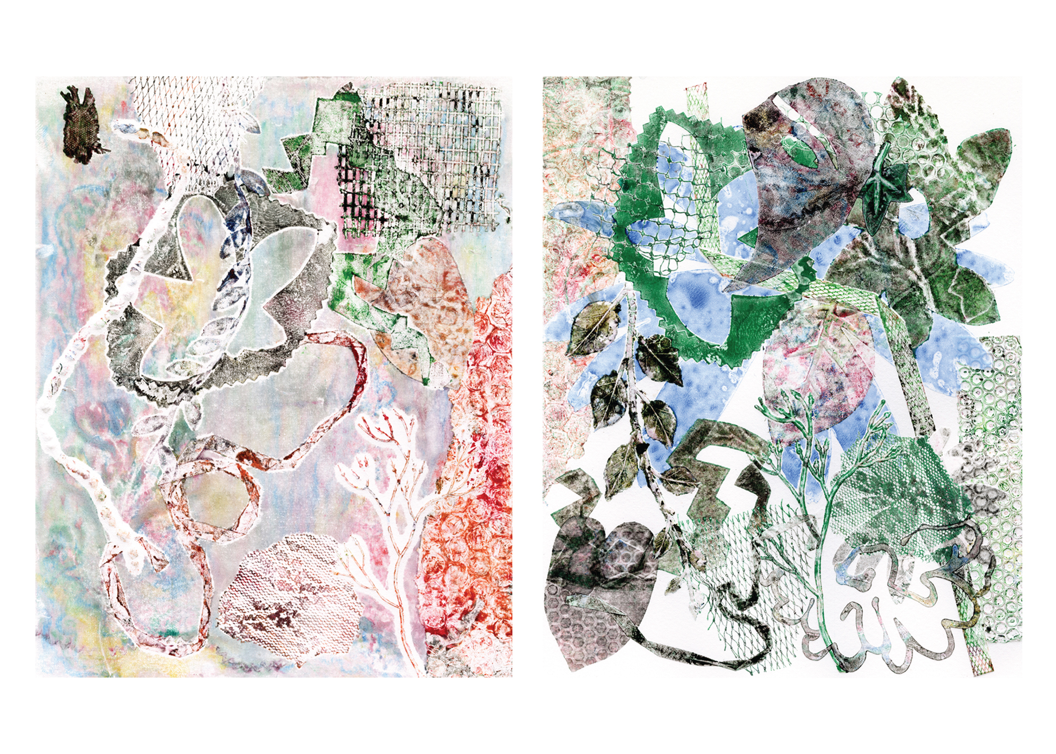 Two abstract printmaking prints by Professor Kevin Harris. Both images focus on natural and floral elements.  Kevin Harris, "Airegin (Takes 1 & 2)," 2026, Monotype, each: 10 x 8 in. 